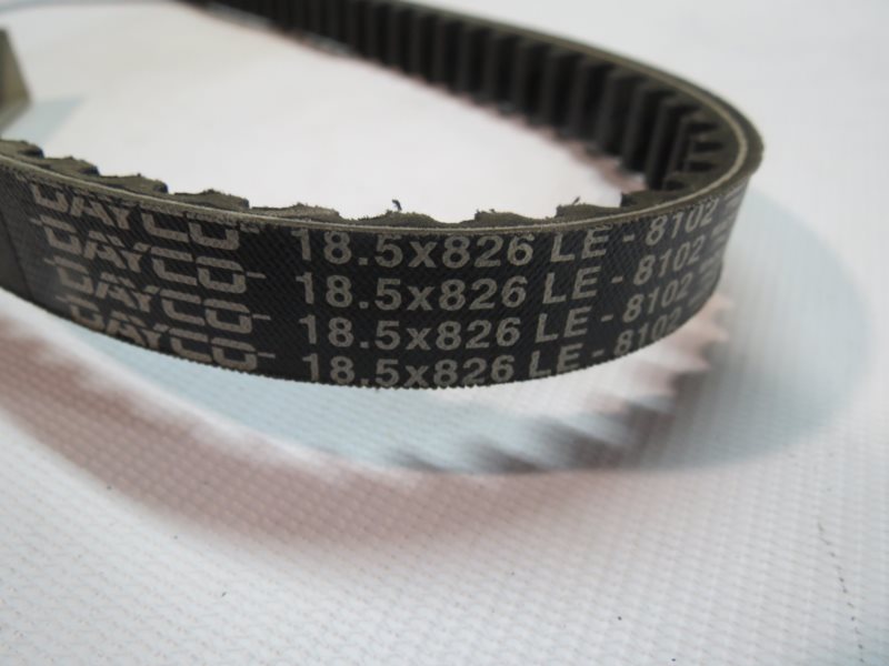 PASEK DAYCO 8102 163750060 DNA LIBERTY