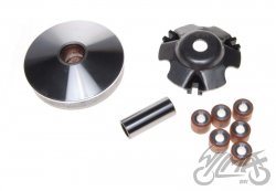 WARIATOR PIAGGIO 50, 80 CM AY51576