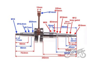 WAL TGB 50 AY2581 2t