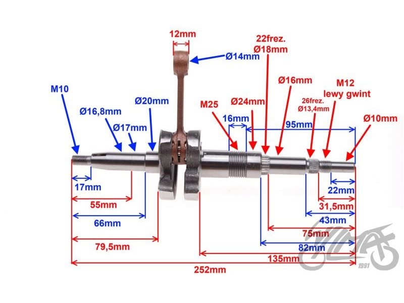 WAL TGB 50 AY2581 2t