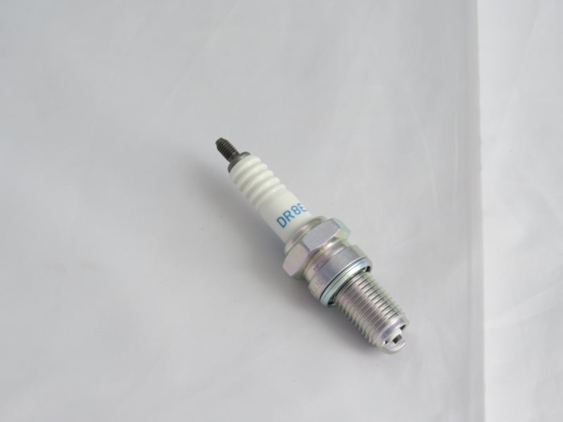 SWIECA NGK DR8EA