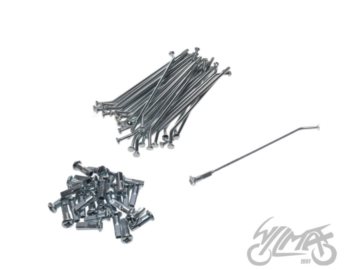 SZPRYCHY KPL KOLO TYL 12X1,85 PIT BIKE PTB6201