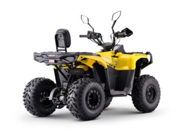 ASIX ATV GLADIATOR 110 8 1+1 ZOLTO-SZARY
