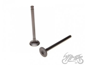 ZAWOR SSACY I WYD ZC0067 4T PARA