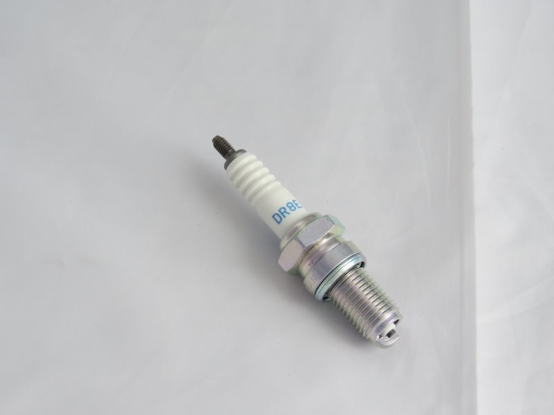 SWIECA NGK DR8EA