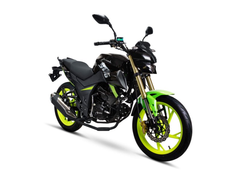 JUNAK 906 50 CZARNO-ZIELONY 5T2200113
