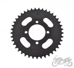 ZEBATKA TYL Z PIASTA Z41 ZQD7001