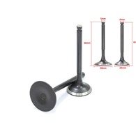 ZAWORY ATV150 DIABLO ROY09601